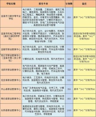 宜昌有哪些职校？（宜昌中职教育招生）