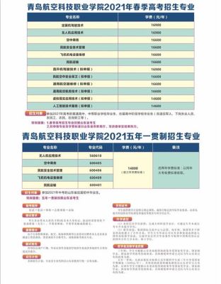 青岛航空职业技术学院代码？（泛美教育集团招生部）